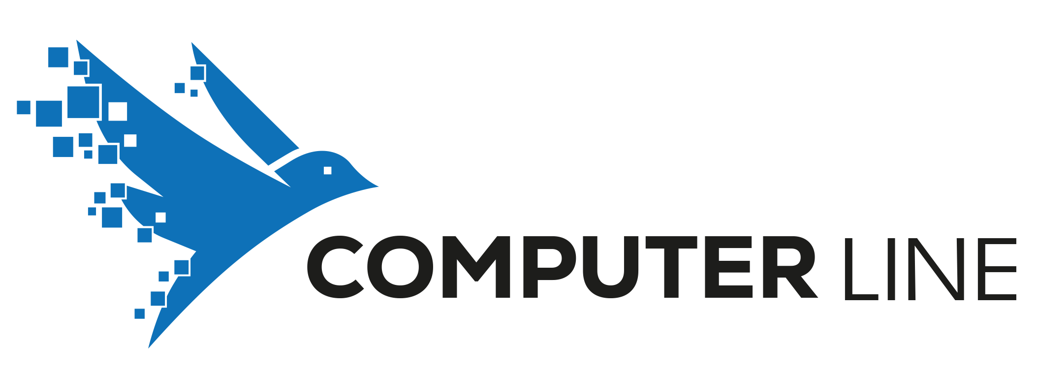 Computer Line